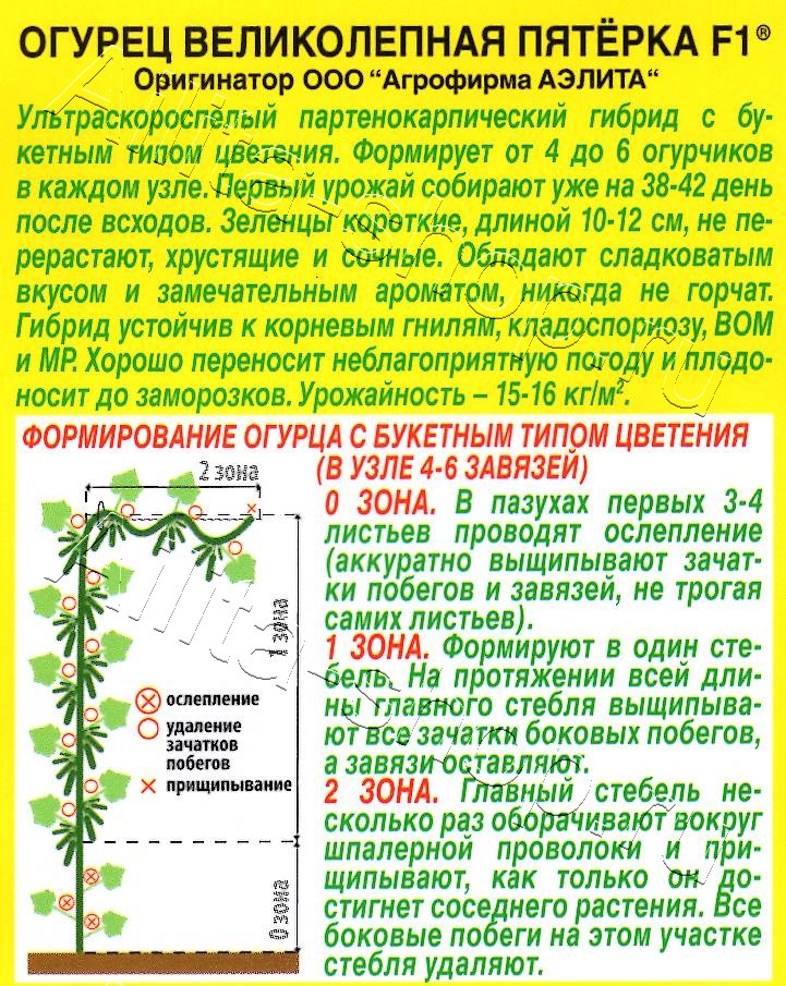 Огурец Великолепная пятерка F1 10шт