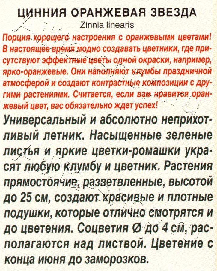 Цинния Оранжевая звезда 0,05г