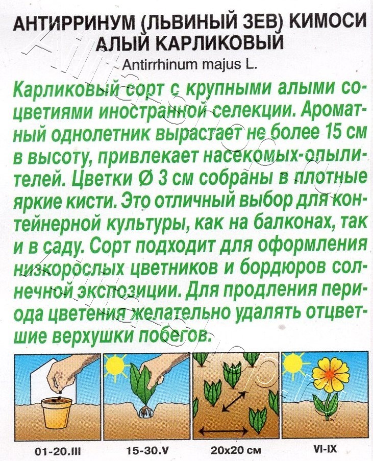 Львиный зев Кимоси алый карликовый 0,05г