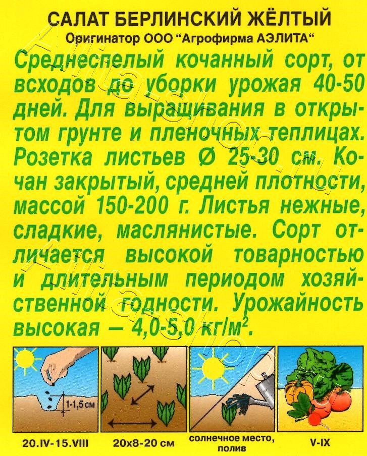 Салат Берлинский желтый кочанный 0,5г