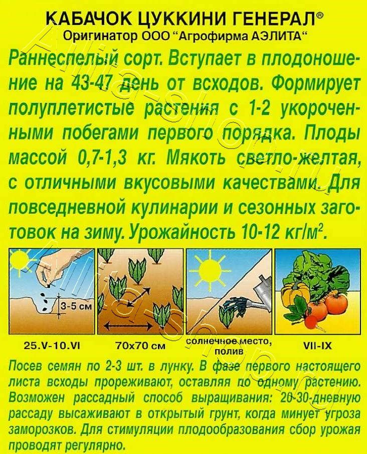 Кабачок цуккини Генерал 1г