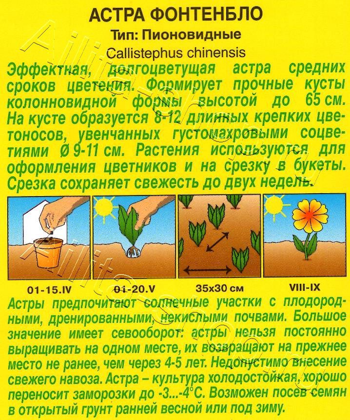 Астра Фонтенбло пионовидная 0,2г