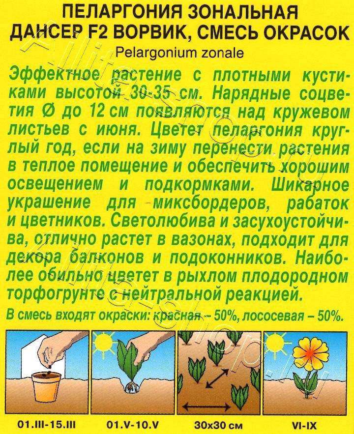 Пеларгония Дансер F2 Ворвик, смесь окрасок 5шт