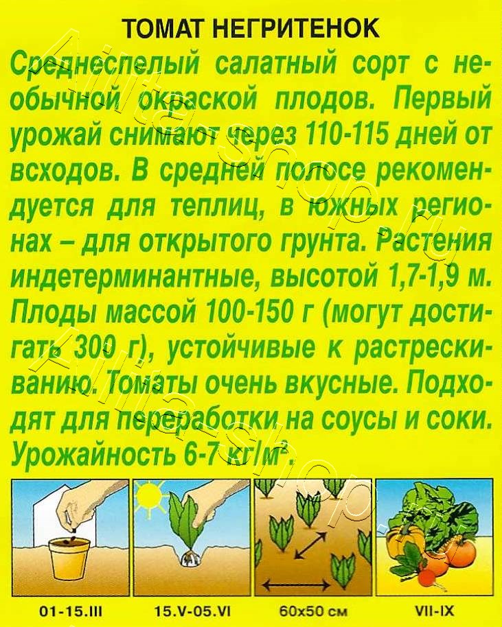 Томат Негритенок 20шт