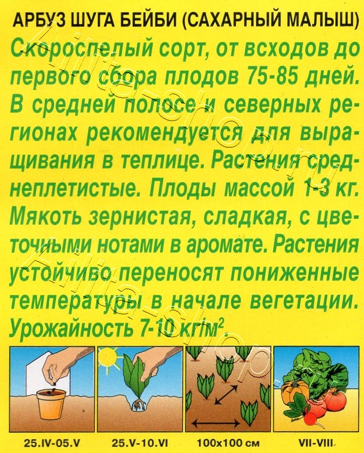 Арбуз Шуга Бейби 1г