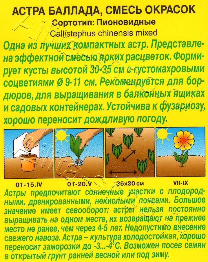 Астра Баллада, смесь окрасок 0,2г