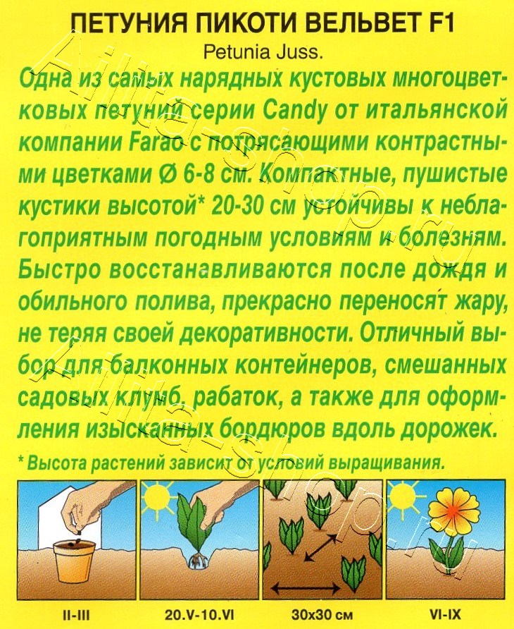 Петуния Пикоти Вельвет F1 многоцветковая 7шт