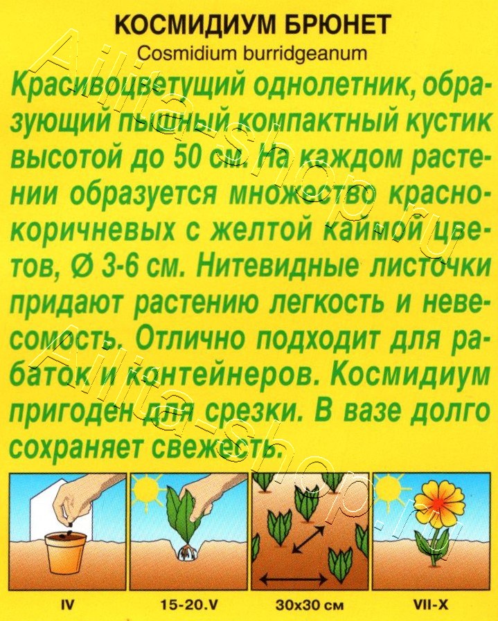 Космидиум Брюнет 0,1г