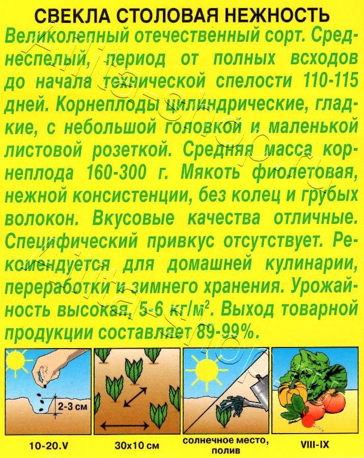 Свекла столовая Нежность 3г