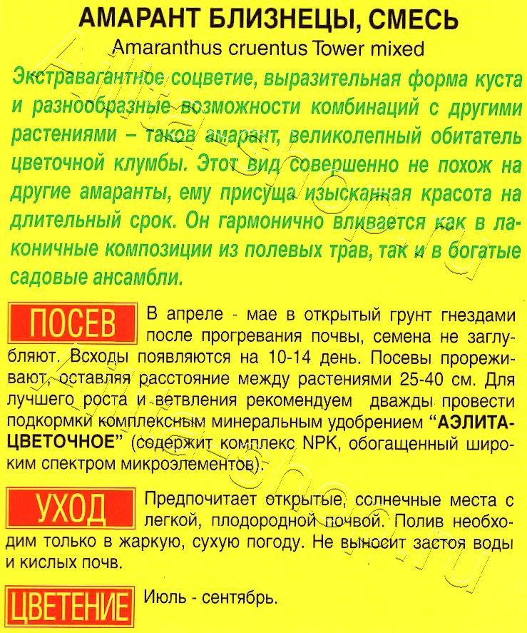 Амарант Близнецы, смесь окрасок 8шт