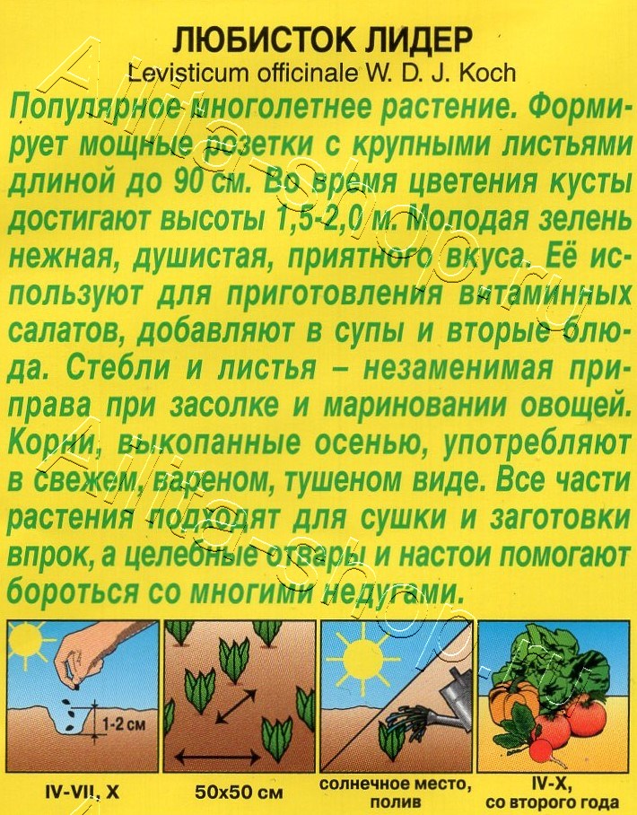 Любисток Лидер 0,3г