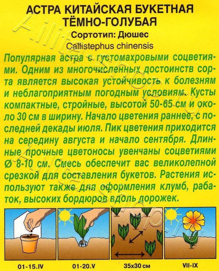 Астра Букетная темно-голубая 0,2г