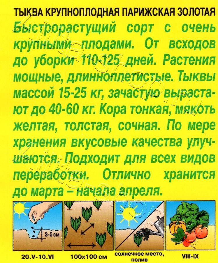 Тыква крупноплодная Парижская золотая 2г