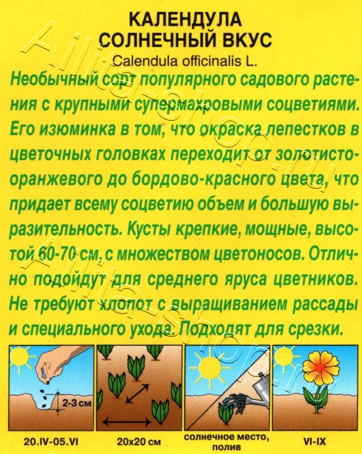 Календула Солнечный вкус 0,3г