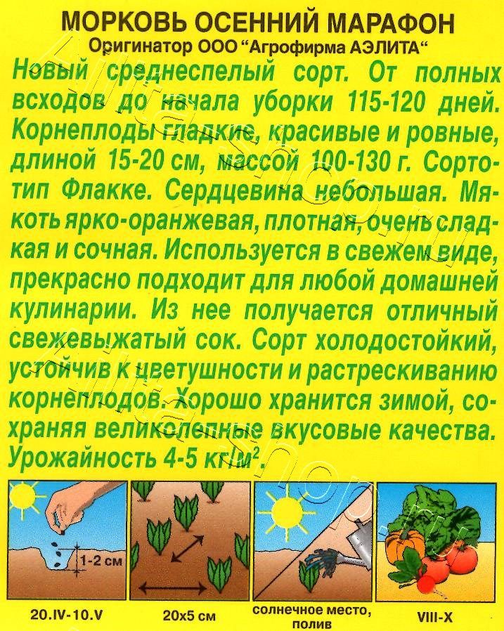 Морковь Осенний марафон 2г