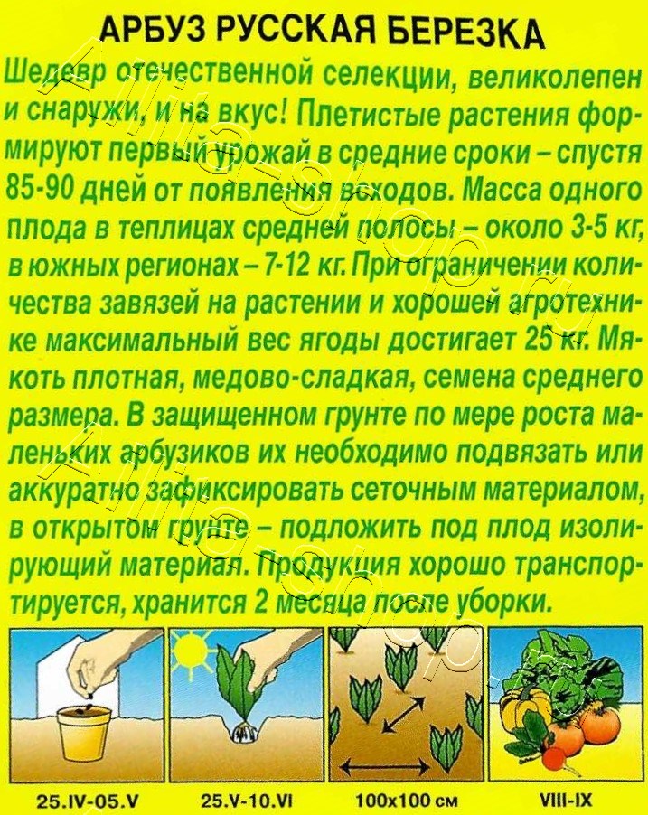 Арбуз Русская березка 1г