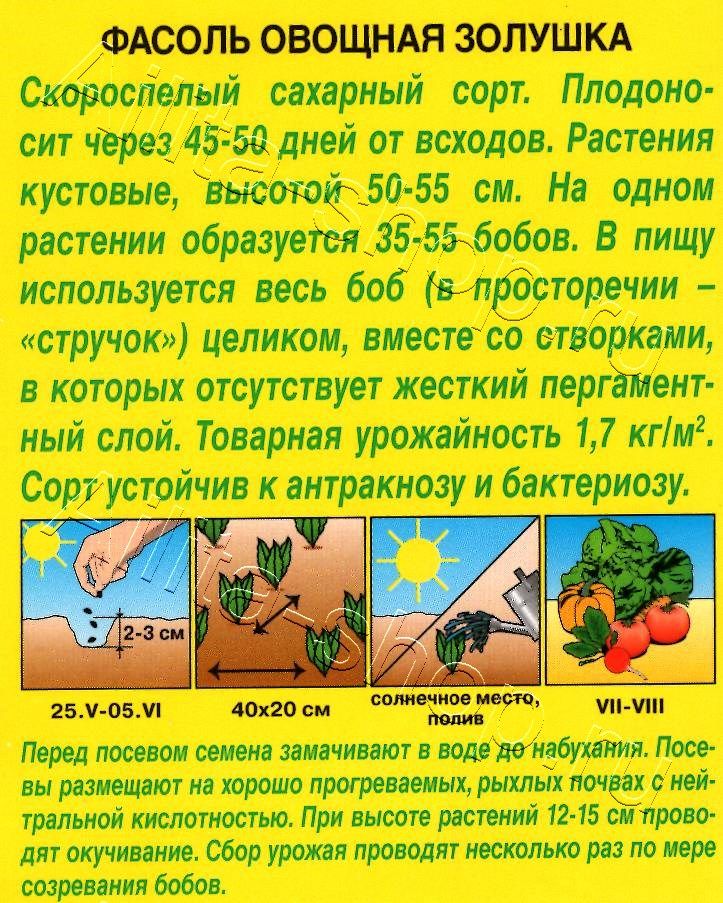 Фасоль овощная Золушка 5г