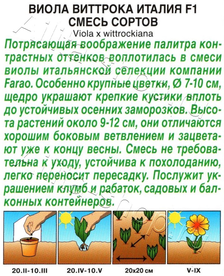 Виола виттрока Италия F1, смесь сортов 7шт