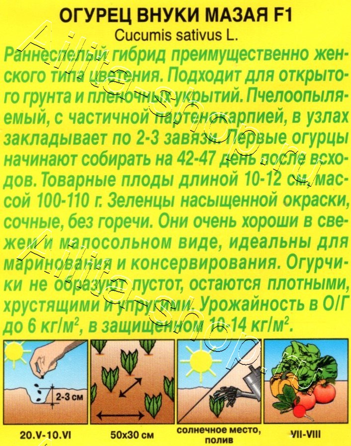 Огурец Внуки Мазая F1 10шт
