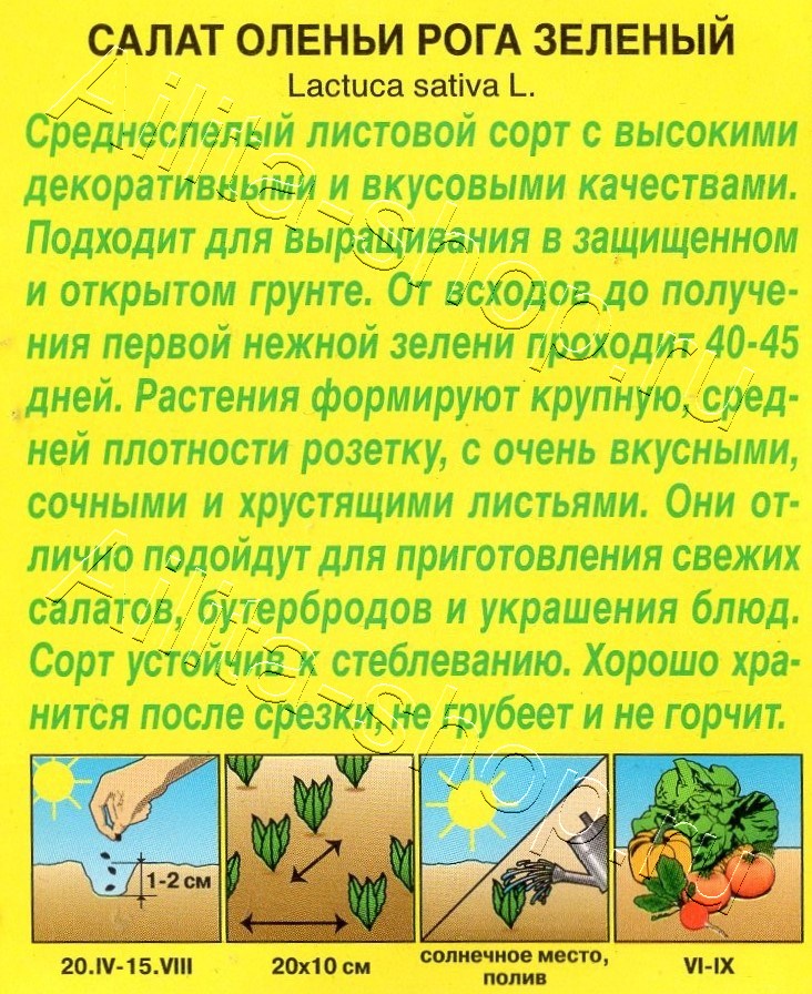 Салат Оленьи рога зеленый 0,2г