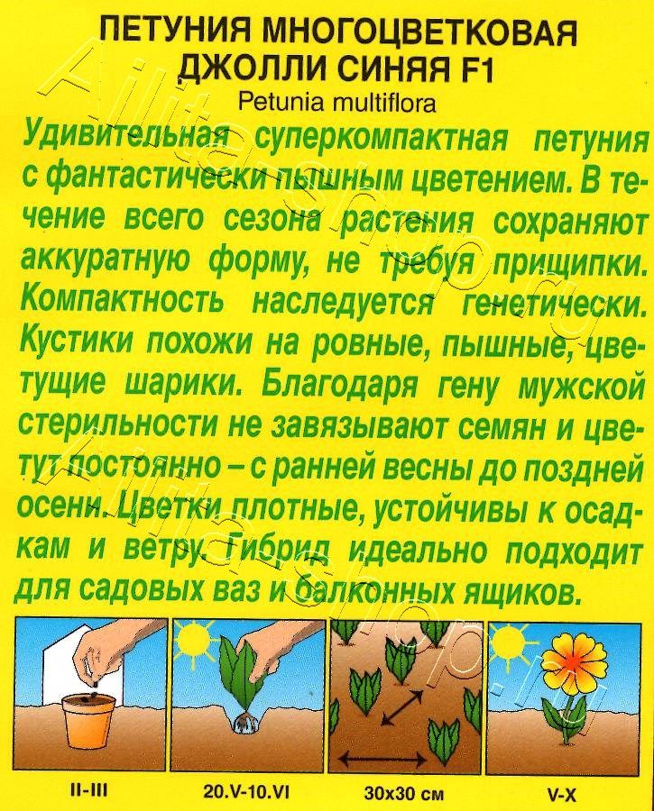 Петуния Джолли синяя F1 многоцветковая 7шт