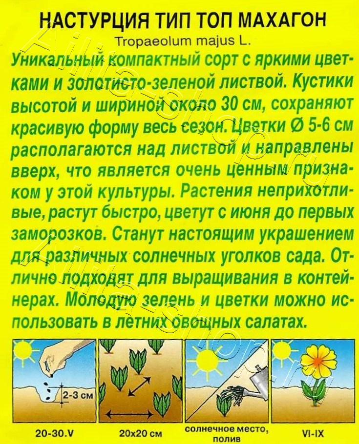 Настурция Тип топ махагон 5шт