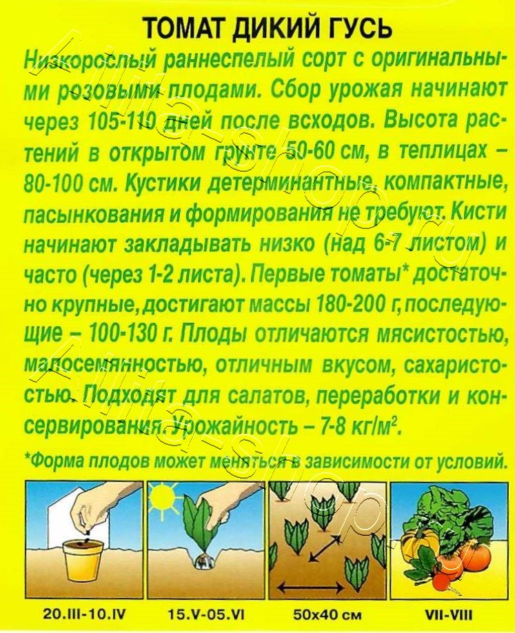 Томат Дикий гусь 0,2г