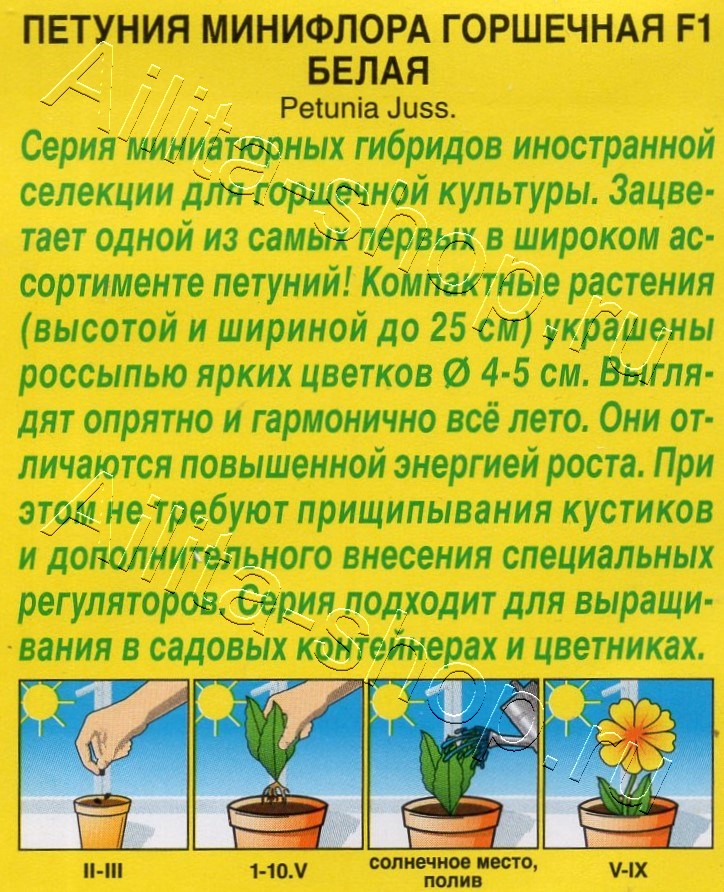 Петуния Минифлора горшечная F1 белая 5шт