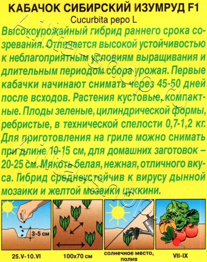 Кабачок цуккини Сибирский изумруд F1 5шт