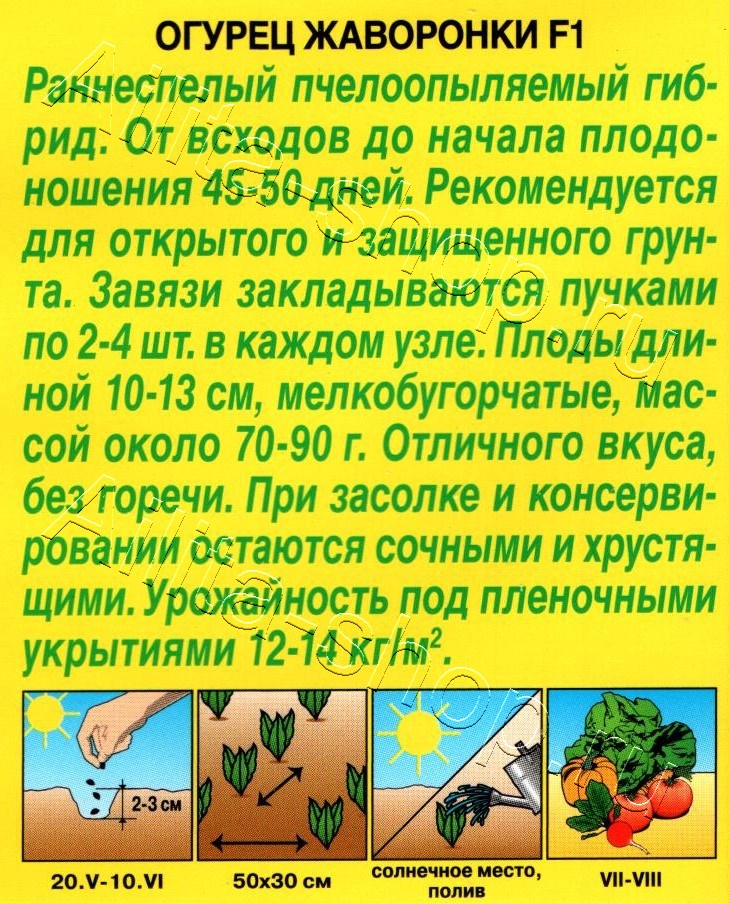 Огурец Жаворонки F1 10шт