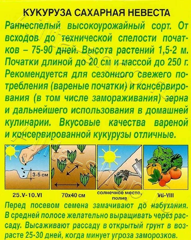 Кукуруза сахарная Невеста 7г