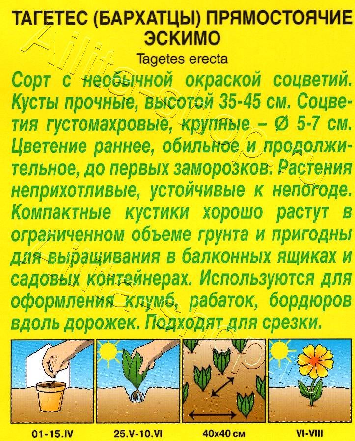 Бархатцы Эскимо прямостоячие 0,05г