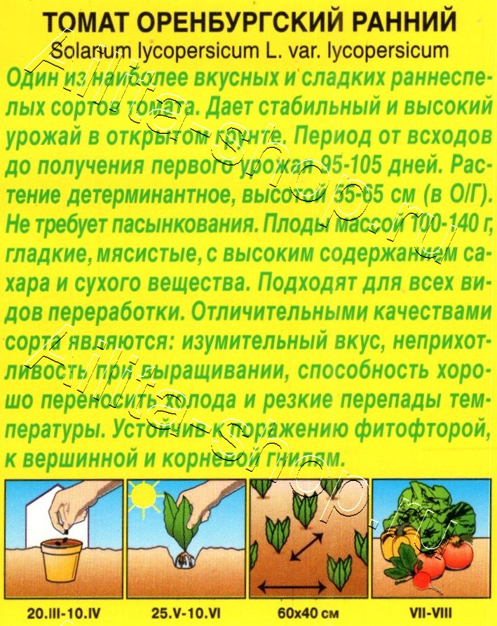 Томат Оренбургский ранний 20шт