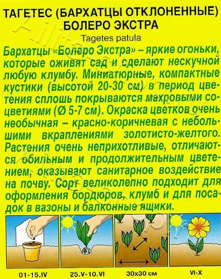 Бархатцы Болеро Экстра отклоненные 0,3г