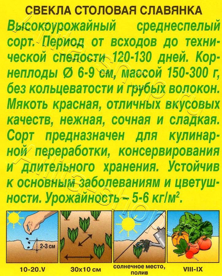 Свекла столовая Славянка 3г