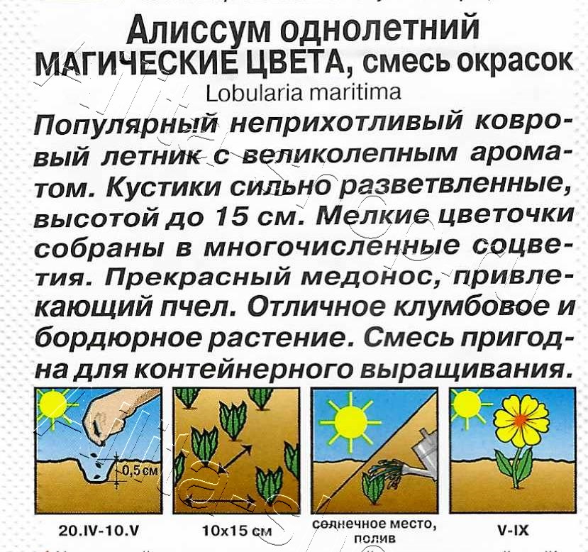 Алиссум Магические цвета, смесь сортов 0,03г