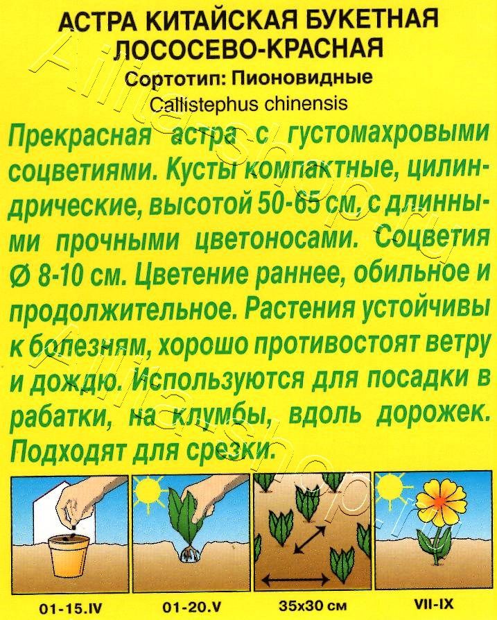 Астра Букетная лососево-красная 0,2г