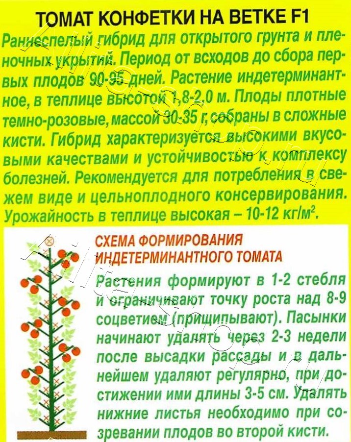 Томат Конфетки на ветке F1 10шт