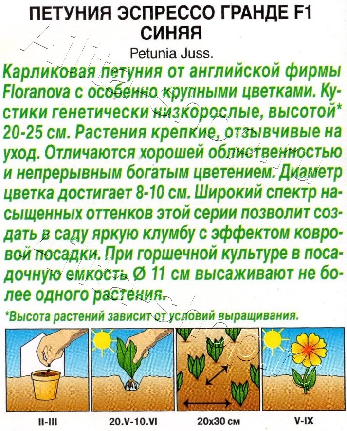 Петуния Эспрессо Гранде F1 крупноцветковая синяя 7шт