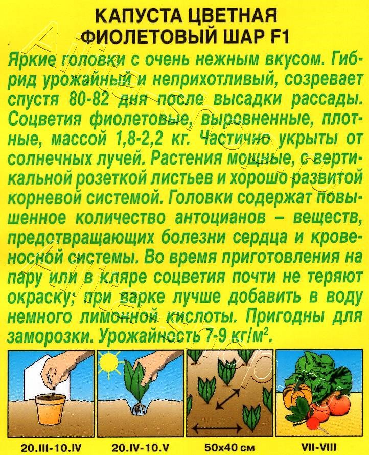 Капуста цветная Фиолетовый шар F1 10шт