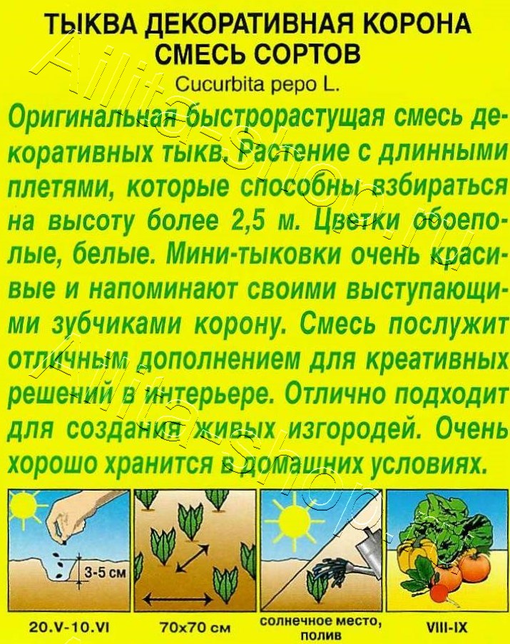 Тыква декоративная Корона, смесь сортов 0,5г