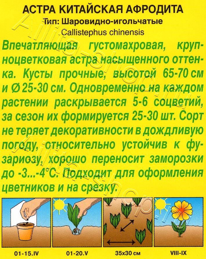 Астра Афродита 0,1г
