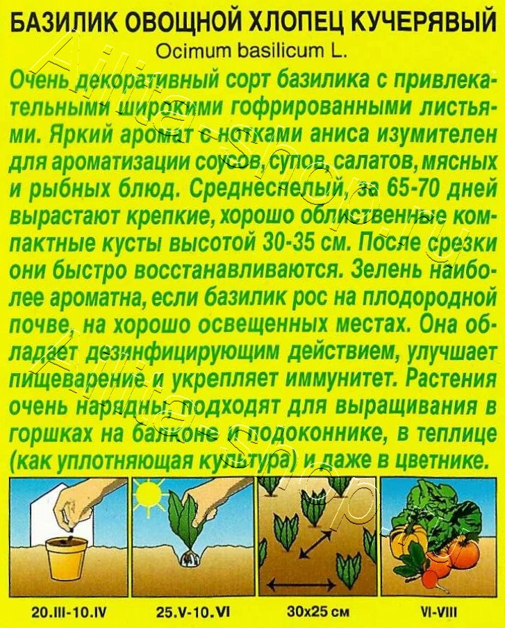 Базилик овощной Хлопец кучерявый 0,2г