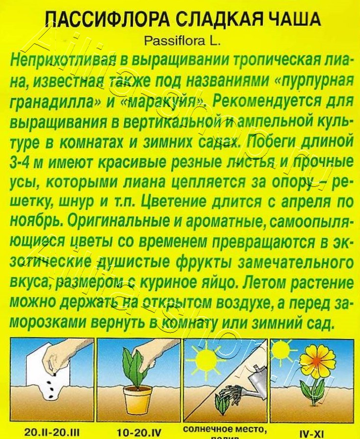 Пассифлора Сладкая чаша 4шт