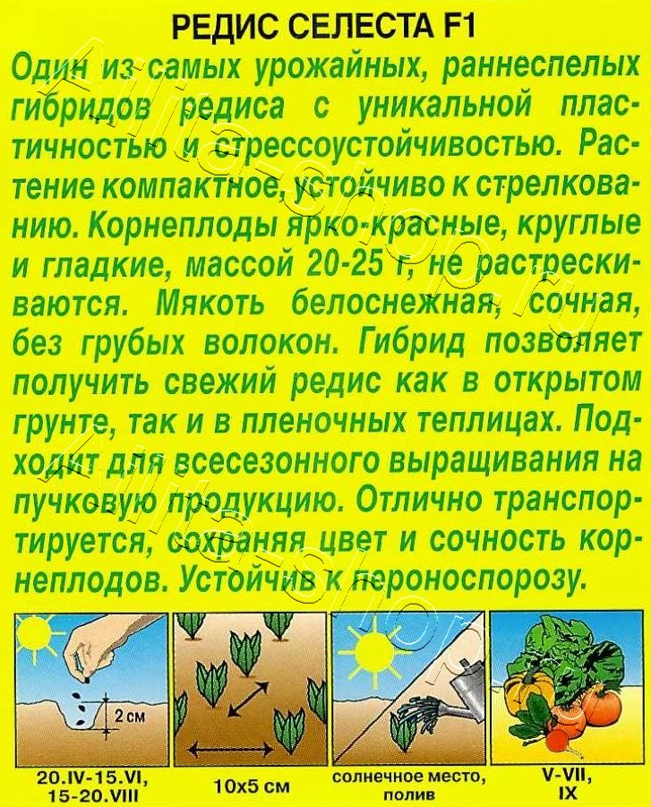 Редис Селеста F1 0,5г