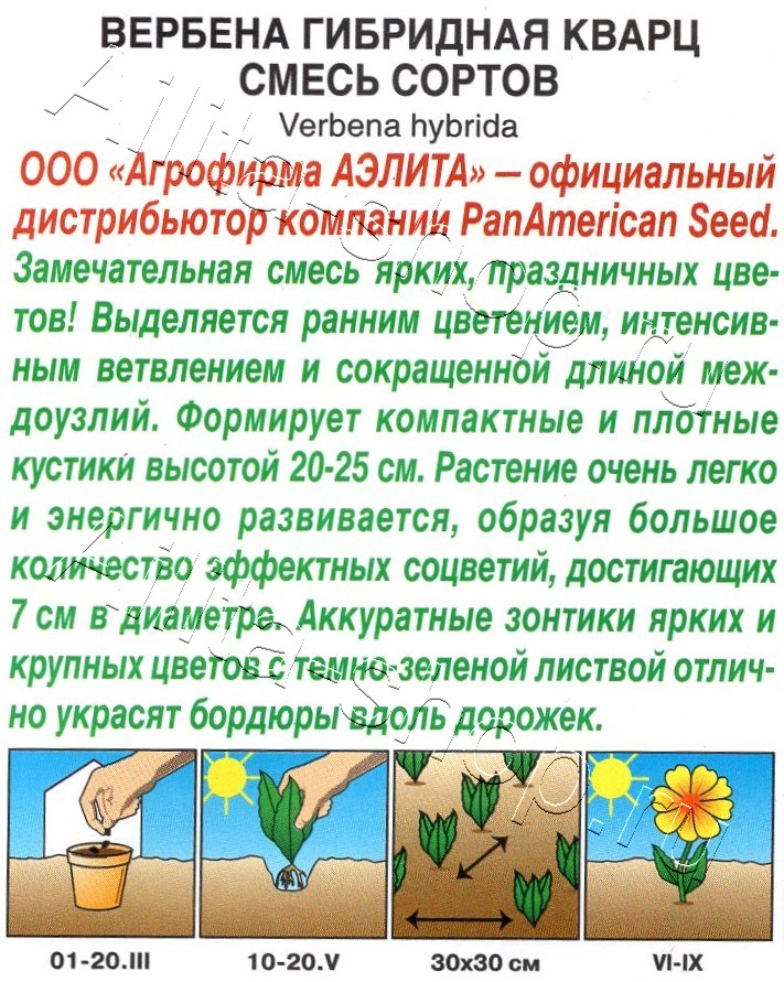Вербена гибридная, смесь сортов 40шт