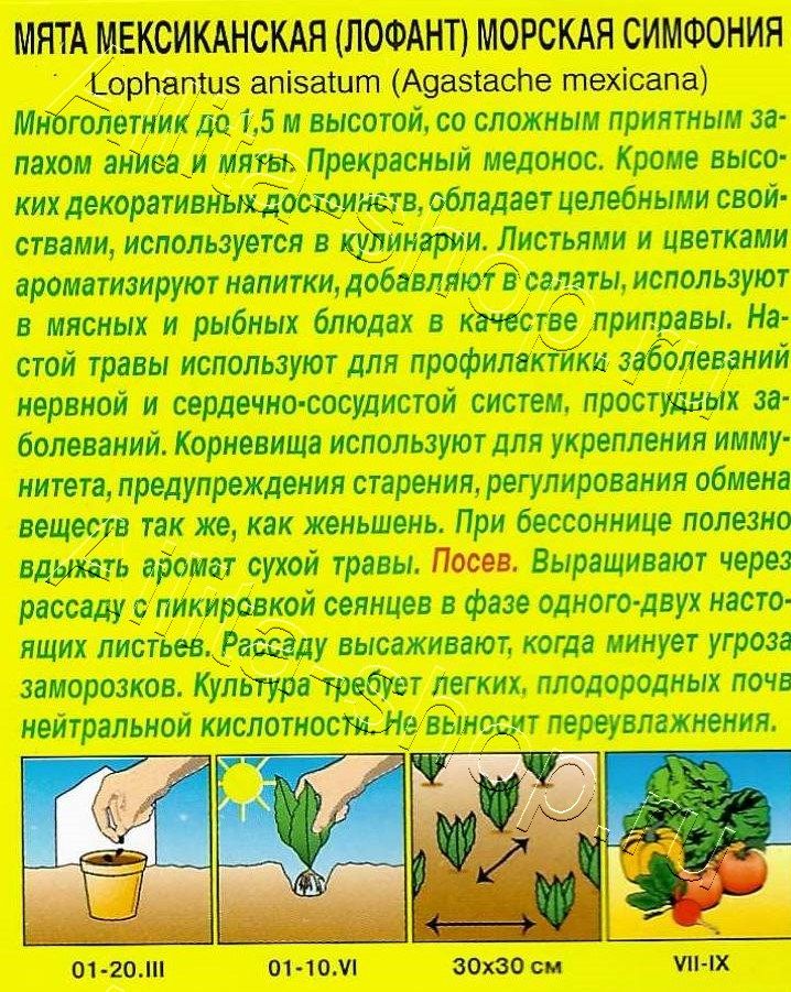 Мята мексиканская Морская симфония 0,05г