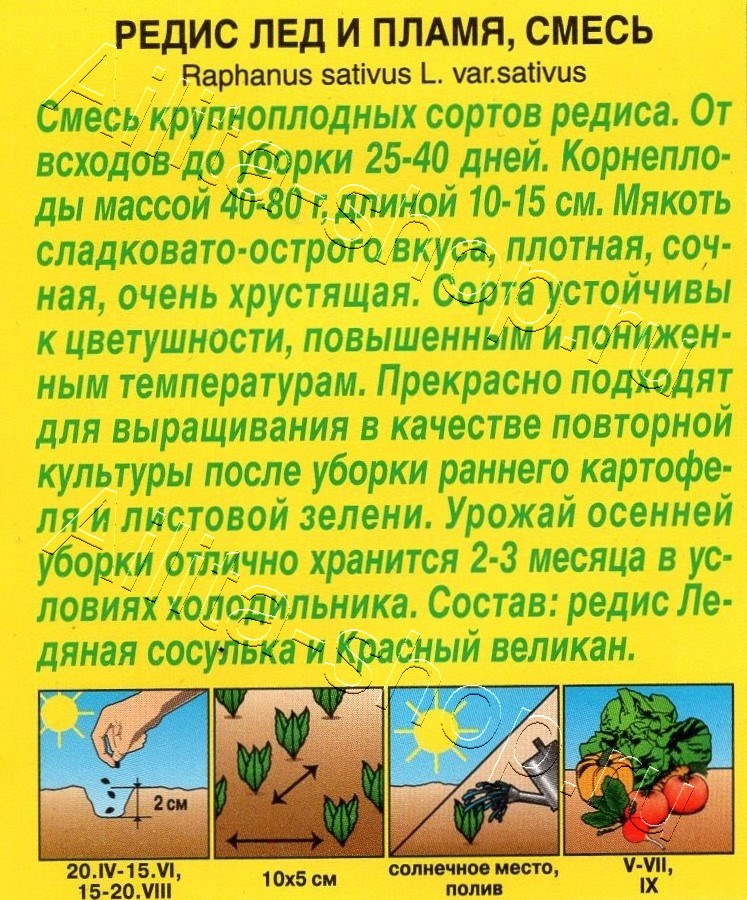 Редис Лед и пламя, смесь 2г