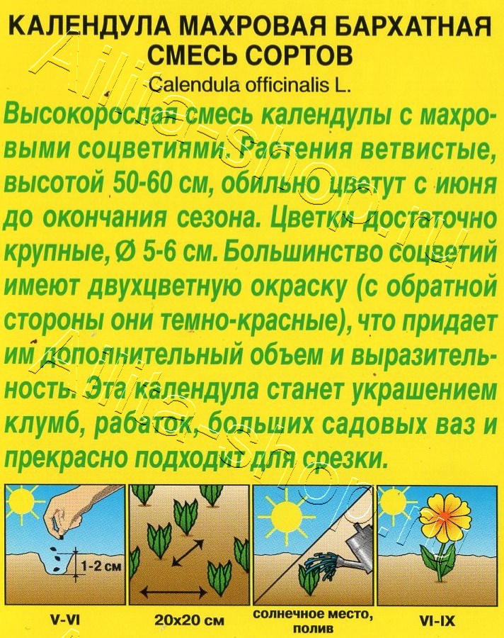 Календула махровая Бархатная, смесь сортов 0,3г