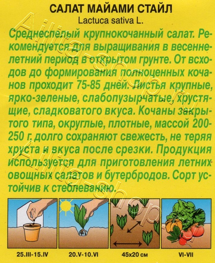 Салат Майами стайл 0,5г